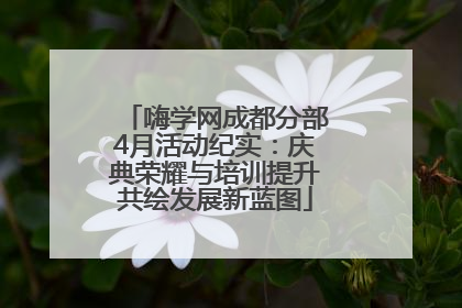 嗨学网成都分部4月活动纪实：庆典荣耀与培训提升共绘发展新蓝图